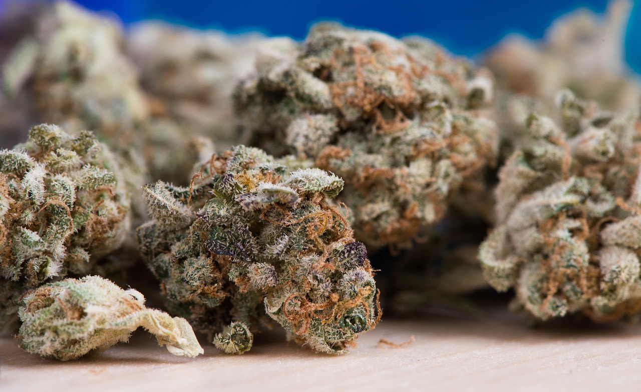 最新打甲鱼技术与方法分享