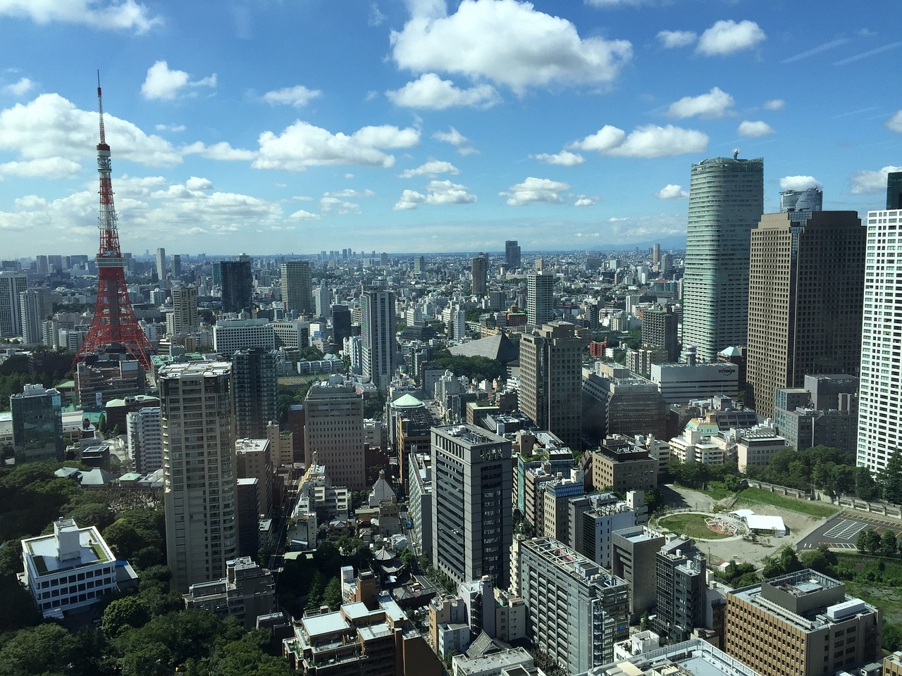花事未了 第23页