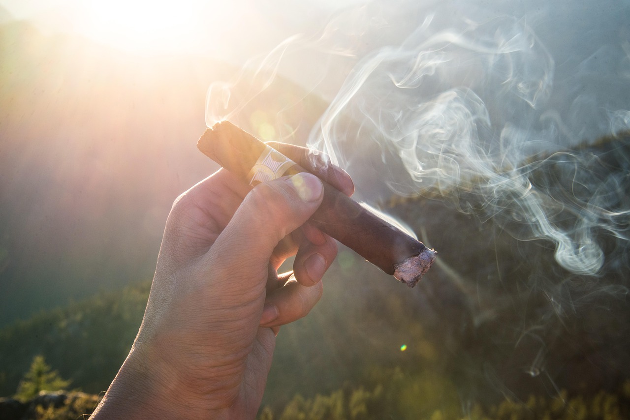 依稀故人在 第8页